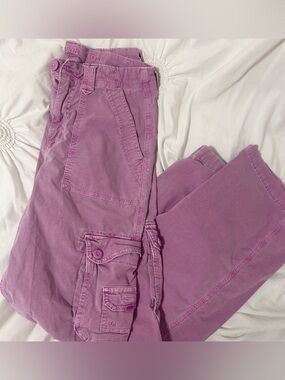American Eagle Outfitters Purple Cargo Pants